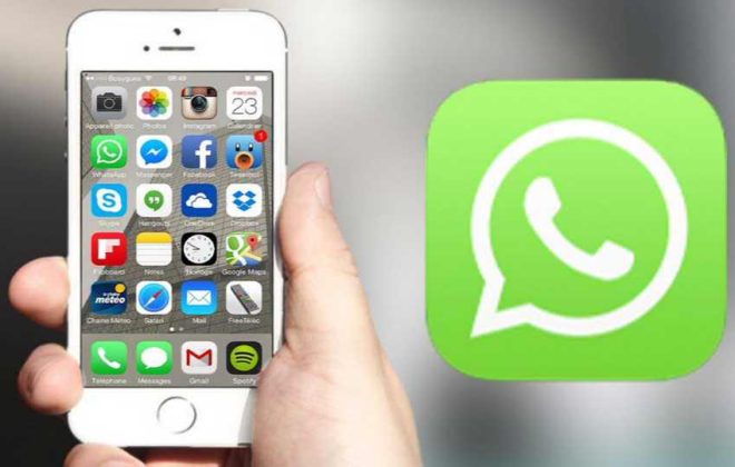Whatsapp 21742 For Ios Released With Fixes And Improvements