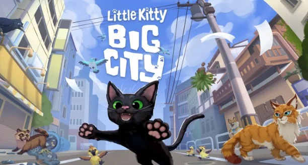 little kitty 1